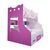 Giường 2 tầng công chúa (nhiều kích thước)- đẹp, giá rẻ tại hcm và hà nội