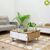Bàn trà / sofa Blake gỗ tự nhiên- đẹp, giá rẻ tại hcm và hà nội