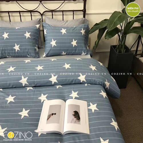Bộ chăn ga gối Cotton 100% CZN 04 - STAR- đẹp, giá rẻ tại hcm và hà nội