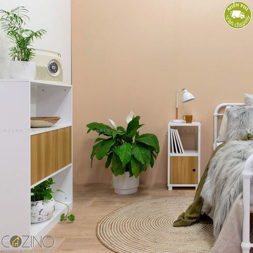 Tủ kệ sách nhỏ Blake gỗ tự nhiên- đẹp, giá rẻ tại hcm và hà nội