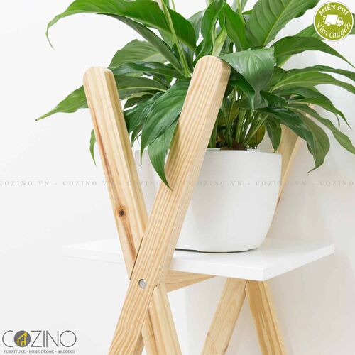 Kệ sách trưng bày Blake gỗ tự nhiên- đẹp, giá rẻ tại hcm và hà nội